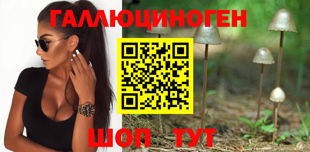 Псилоцибиновые грибы Psilocybine cubensis Крымск