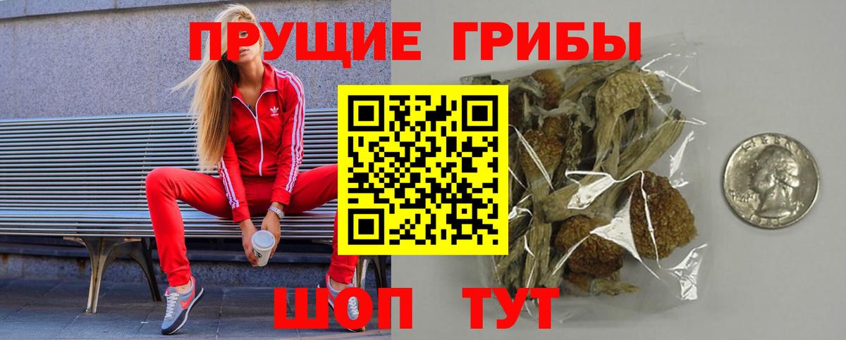 закладка  Галлюциногенные грибы MAGIC MUSHROOMS  Крымск  Вход с VPN  Галлюциногенные грибы мицелий 